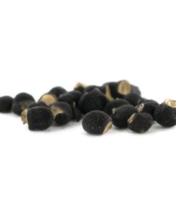 Peyote Cactus Seeds